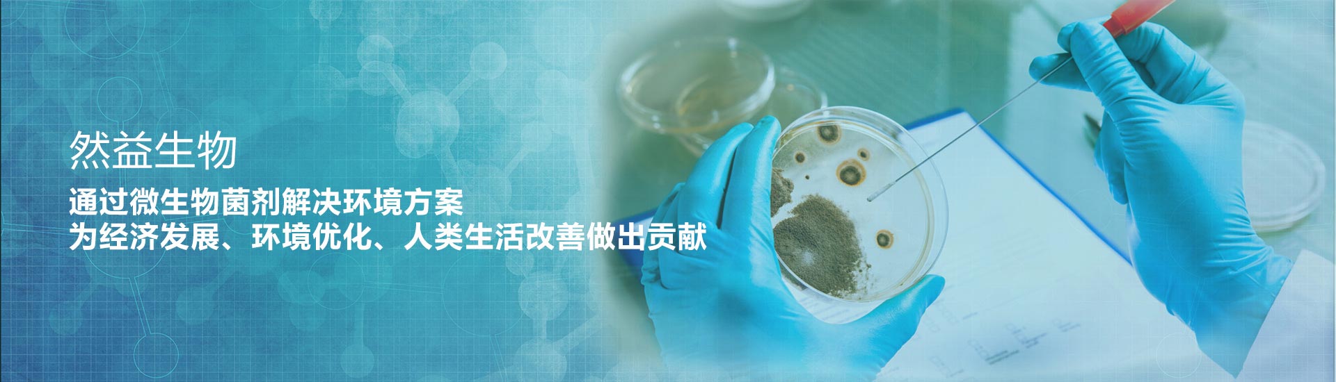 生物法废气处理